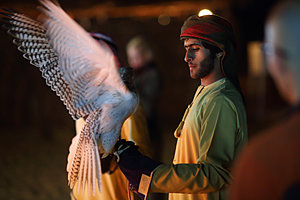 Third International Falconry Festival