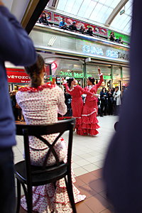 Compania Flamenkeria