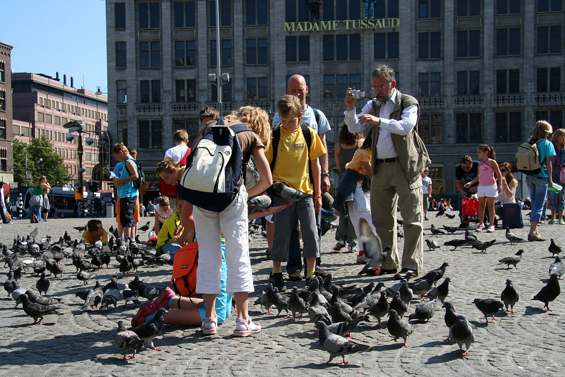 Amsterdam, pigeons on Dam