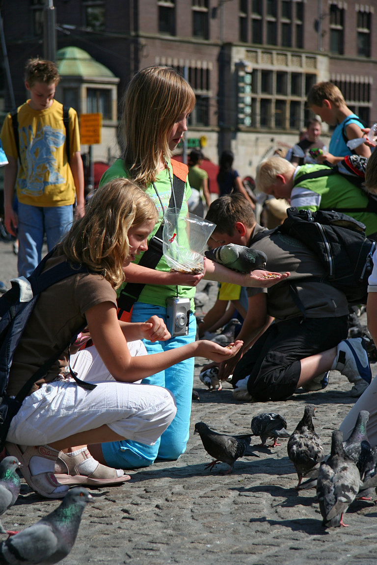 Amsterdam, pigeons on Dam