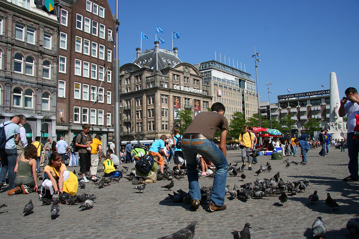 Amsterdam, pigeons on Dam