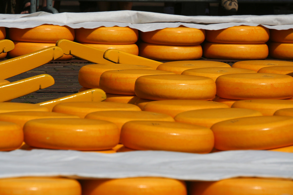 Alkmaar, cheese market