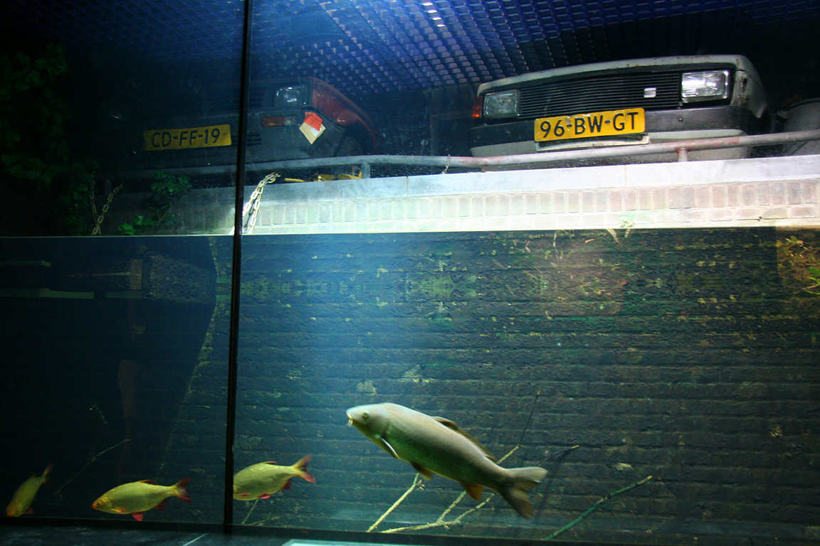 Amsterdam, Artis, Aquarium