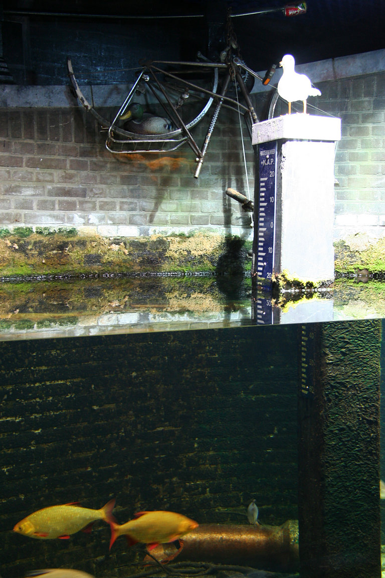 Amsterdam, Artis, Aquarium
