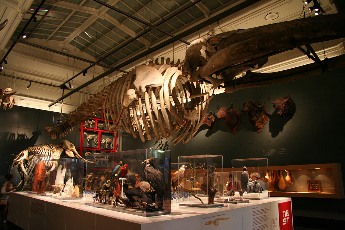 Amsterdam, Artis, Aquarium