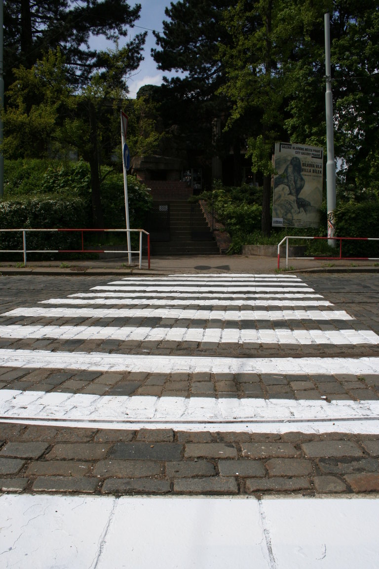 Zebra -- Crosswalk
