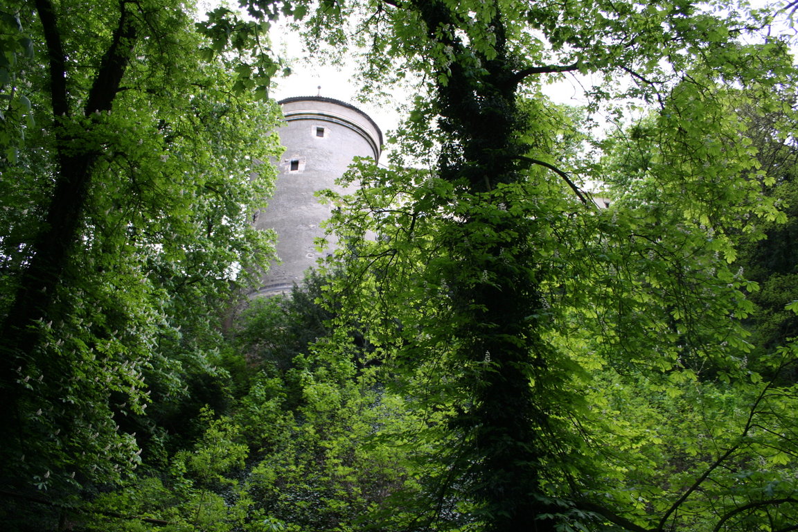 Prask hrad: Daliborka z dol Brusnice -- Prague Castle: Daliborka Tower