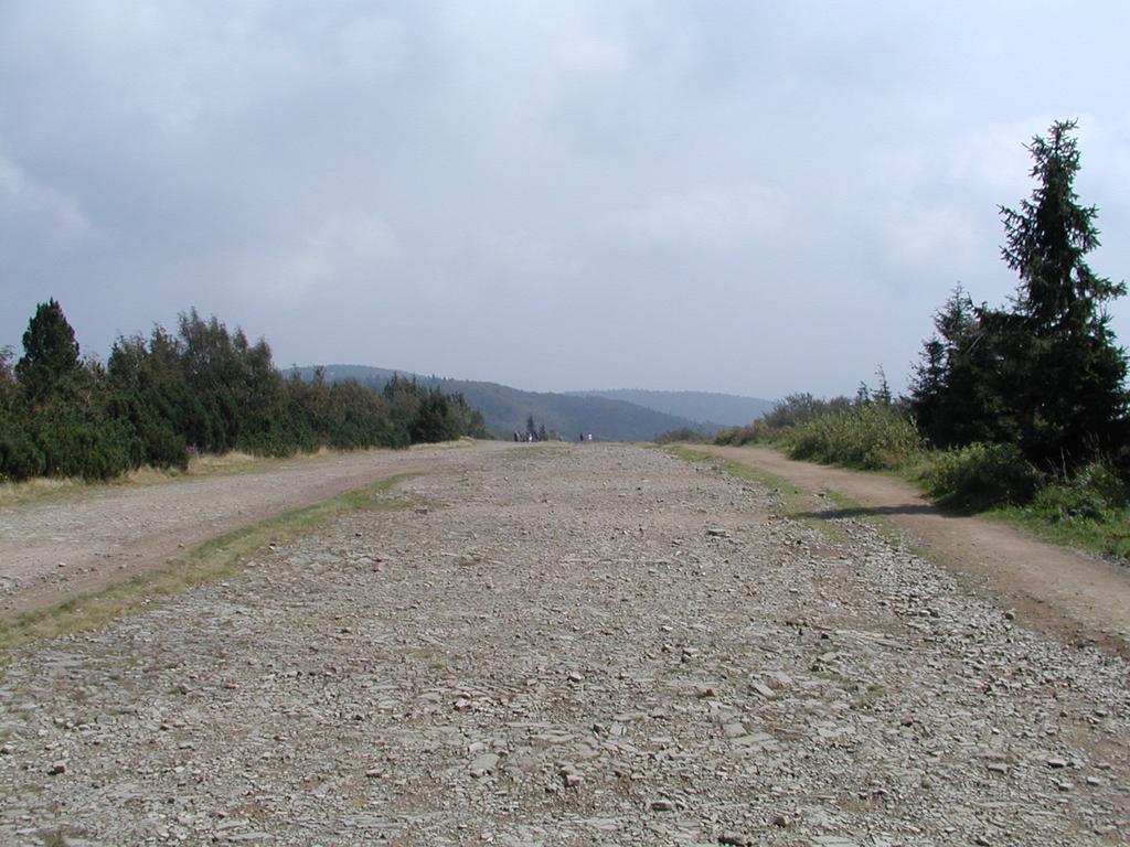 Cesta