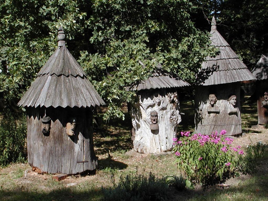 Skanzen Ronov - ly